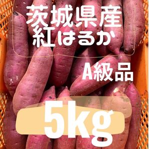 さつまいも 紅はるか A品 5kg 茨城県産サツマイモ
