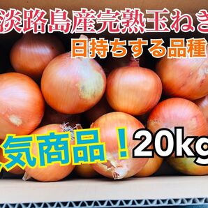 あま〜くて美味しい淡路島産完熟玉ねぎ少し訳あり品20kg