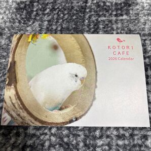 2026年 壁掛けカレンダー インコ 鳥