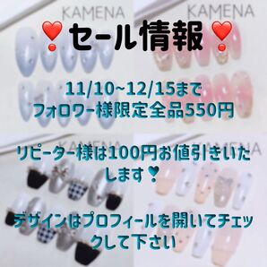 ネイルチップ サイズオーダー セール情報※説明欄の必読をお願いいたします※ デザインは出品一覧をご覧くださいませ