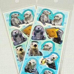 【クーポン使用可】鳥羽水族館 メイキラ ステッカー シール×2枚 新品