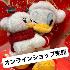 2025ディズニーストア★ドナルドクリスマス ぬいぐるみ