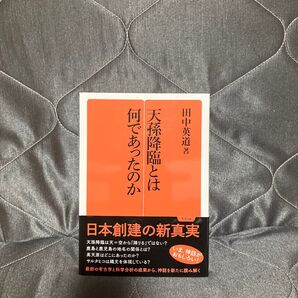 天孫降臨とは何であったのか (勉誠選書) 田中英道/著