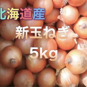 ミニ★北海道産 新玉ねぎ 産地直送 採れたて 玉ねぎ 玉葱 タマネギ