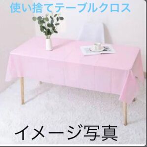 テーブルクロス 使い捨て イベント クリスマスパーティ 野外活動 137×274 バラ売可
