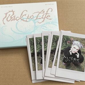 &TEAM Back to Life MAKI マキ INSTANT PHOTO インスタントフォトカード トレカ チェキ