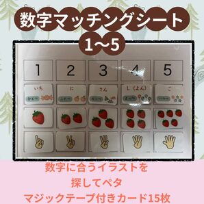 【No.14】数色々マッチングカード 療育 知育 幼児教育 教材 保育教材 保育教材 食育 保育士 こども園 保育導入 保育園