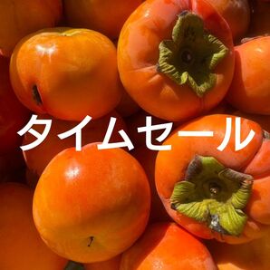 タイムセール【和歌山県 九度山 富有柿】約5.0kg ご家庭用
