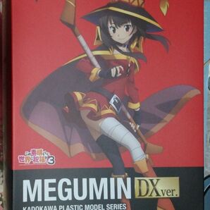 カドプラ「めぐみん DXver.(ECサイト購入特典付き)」開封品
