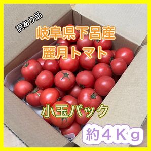 【規格外品】 小玉パック 農家直送 大玉トマト 麗月 4Kg 訳あり 飛騨トマト