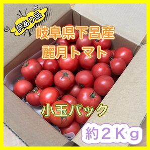 【規格外品】 小玉パック 農家直送 大玉トマト 麗月 2Kg 訳あり 飛騨トマト