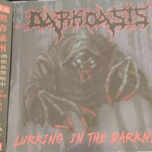 Dark oasis ode to~/ lurking in the~ デスメタル ヘヴィメタル スラッシュメタル CD