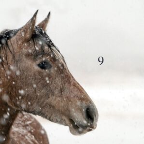 9 ぽちゃママさま