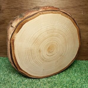 栗(山栗)の薪割り台NO. 678薪割り台 バドニング 花置