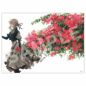 ヴァイオレット・エヴァーガーデン キャンバスアート【TypeA】 京都アニメーション 京アニ 新品