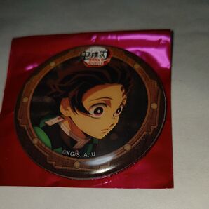 鬼滅の刃無限城編 竈門炭治郎