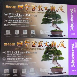 第45回 日本盆栽大観展 招待券 2枚セット