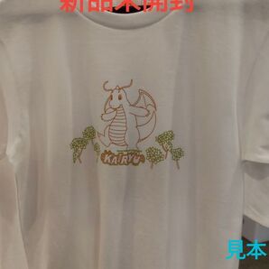福井応援ポケモン カイリューTシャツ 福井限定