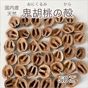 国内産 天然 鬼胡桃の殻 50こ おにくるみ オニクルミ オニグルミ 胡桃 ハンドメイド資材 リース素材に ナチュラル くるみ