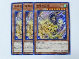 遊戯王　★ 黄竜の忍者 ★　ノーマル　3枚セット　中古品　プレイ専用　