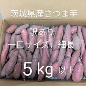 茨城県産さつま芋訳あり紅はるか 一口サイズ