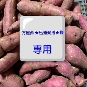 茨城県産紅はるか干し芋 訳あり品