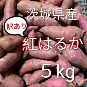 茨城県産さつま芋訳あり紅はるか