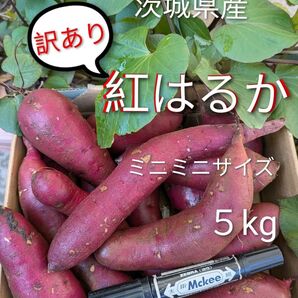茨城県産さつま芋訳あり紅はるか ミニミニサイズ