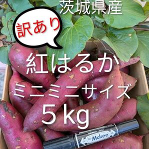 茨城県産さつま芋訳あり紅はるか ミニミニサイズ