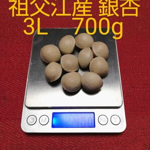 祖父江産 銀杏 3L 700g