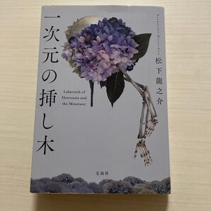 一次元の挿し木 (宝島社文庫 Cま-5-1 このミス大賞) 松下龍之介/著