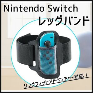 switch リングフィット レッグバンド ニンテンドー スイッチ 任天堂