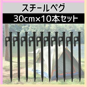 スチールペグ 30cm 10本セット テント ロープ用 アウトドア キャンプ