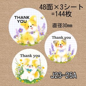 J23-25A 丸型サンキューシール 3種類各48枚