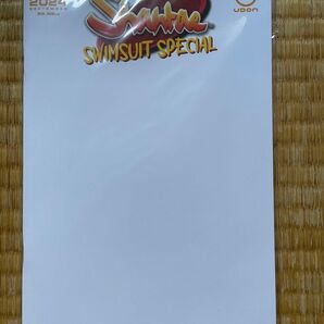 2024 Shantae Swimsuit Special #1 CVR C - Blank Sketch Cover