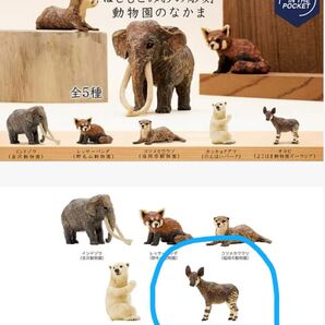 はしもとみおの彫刻 動物園のなかま オカピ (よこはま動物園ズーラシア)(神奈川県横浜市)