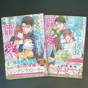 家族に愛されなかった私が、辺境の地で氷の軍神騎士団長に溺れるほど愛されています 1 .2(Saga Forest) 鳴宮野々花