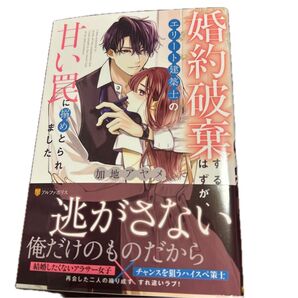 婚約破棄するはずが、エリート建築士の甘い罠に搦めとられました (Eternity BOOKS) 加地アヤメ/〔著〕