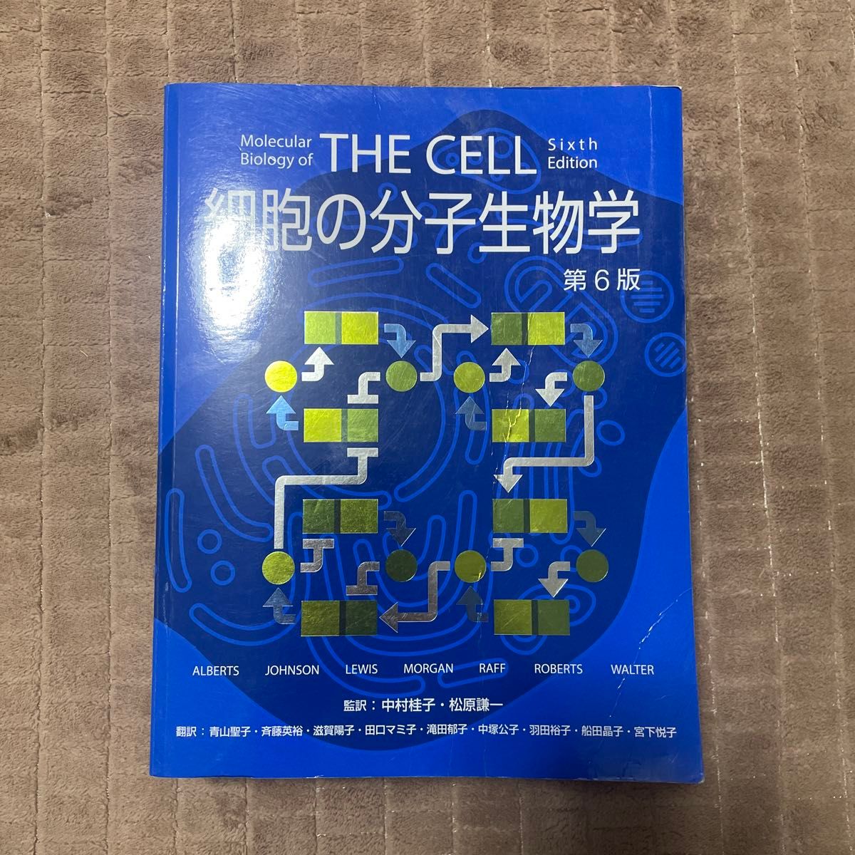 細胞の分子生物学 第6版 THE CELL