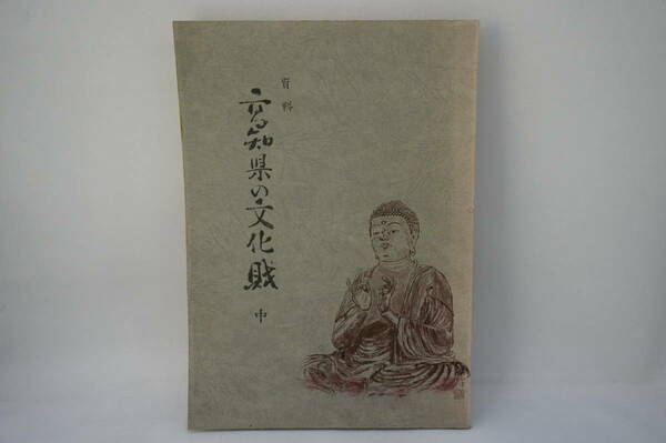 史料　高知県の文化財　中　編集発行　前田和男　昭和49年5月発行