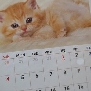 2026年 卓上カレンダー 子猫