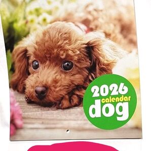 2026年 dog calendar 犬 カレンダー
