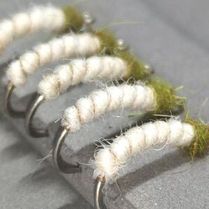 グレープワ―厶