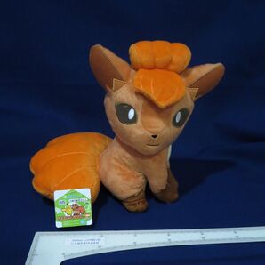 高さ約27cm ロコン ぬいぐるみ ポケットモンスター 2020