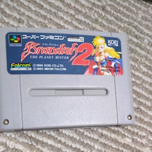 ブランディッシュ2