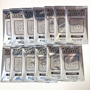 村上隆 カイカイキキ 村上隆とトレカの世界 ふるさと納税限定版 トレカ