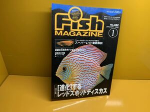 月刊 フィッシュマガジン 1998年1月 No.382 特集レッドスポットディスカス 飼育術他　付録なし