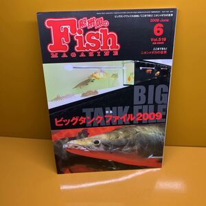 月刊 フィッシュマガジン 2009年6月 vol.519 ビッグタンクファイル2009 ニホンメダカの世界