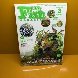 月刊 フィッシュマガジン 2008年3月 vol.504 水草、海水、テラリウム、ビバリウムこれだけできる小型水槽　インペリアルゼブラ