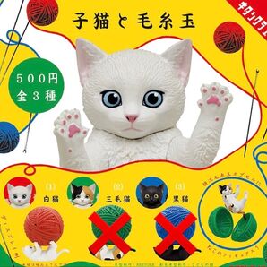 1種 子猫と毛糸玉 フィギュア ガチャ 白猫 白ネコ 猫 ネコ ねこ 毛糸